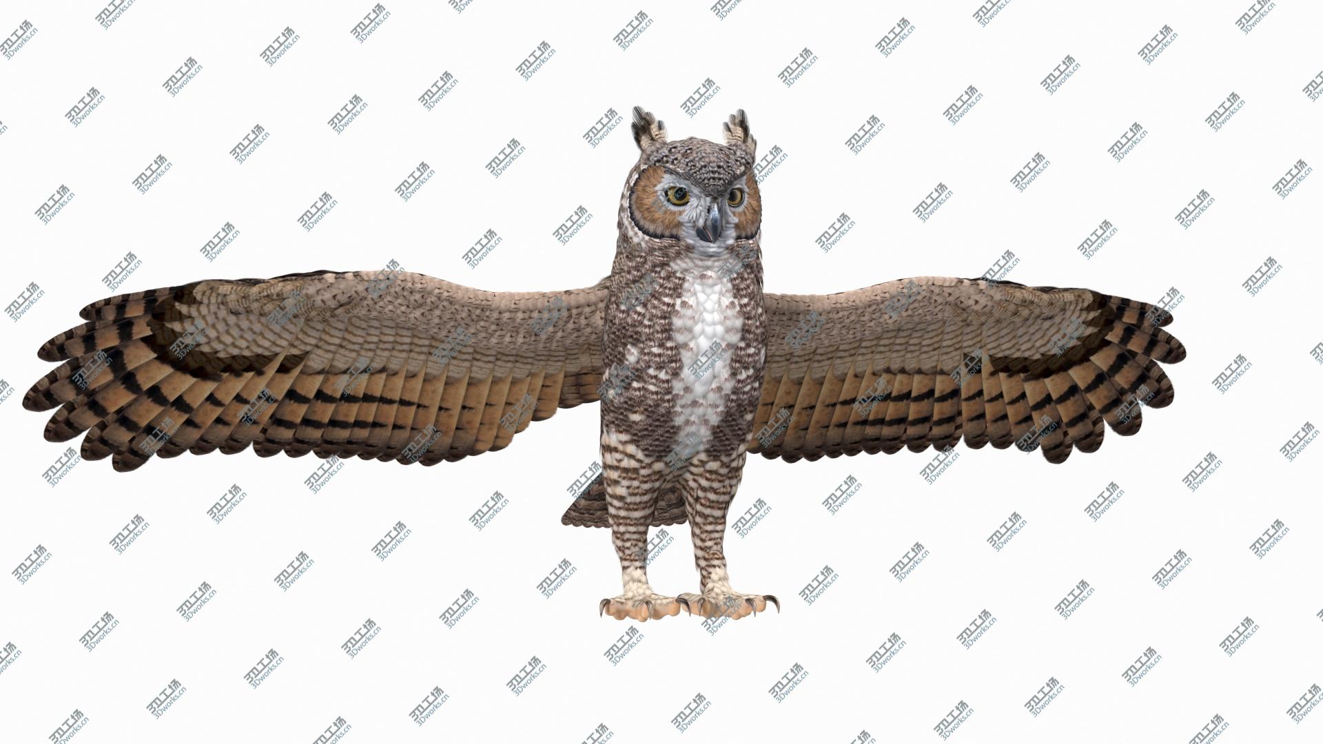 images/goods_img/202104093/Great Horned Owl Rigged 3D model/2.jpg